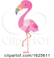 Poster, Art Print Of Pink Flamingo Bird