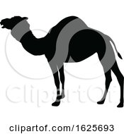 Poster, Art Print Of Camel Animal Silhouette