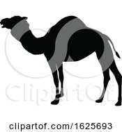 Camel Animal Silhouette by AtStockIllustration