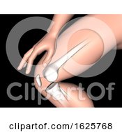 3D Male Figure With Close Up Of Knee Bone