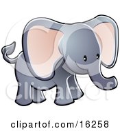 Adorable Gray Elephant With Big Pink Ears And A Short Trunk