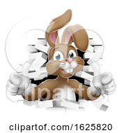 Poster, Art Print Of Easter Bunny Thumbs Up Coming Out Of Background
