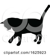 A Cat Silhouette