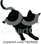 A Cat Silhouette