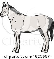 Poster, Art Print Of Horse