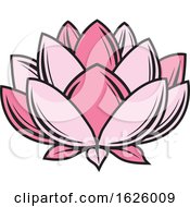 Poster, Art Print Of Pink Lotus