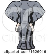 Poster, Art Print Of Elephant