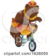 Circus Bear Riding A Bicycle by Vector Tradition SM