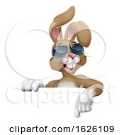 Easter Bunny Cool Rabbit Pointing Cartoon