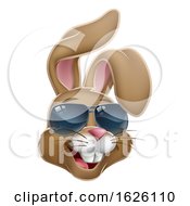 Cool Easter Bunny Rabbit In Shades Cartoon