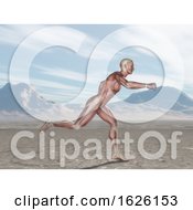 3D Male Figure With Muscle Map Running In Landscape