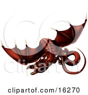 Dark Blood Red Dragon In Flight Over A White Background