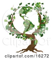 Tree With Branches Growing In The Shape Of The Earth With The Americas Featured Clipart Illustration by AtStockIllustration #COLLC16272-0021