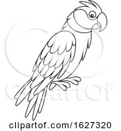 Poster, Art Print Of Black And White Parrot