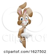 Easter Bunny Rabbit Pointing Cartoon At Sign