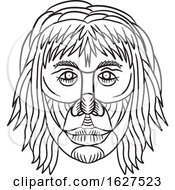 Poster, Art Print Of Homo Habilis Face Front Drawing