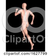 3D Male Figure In Running Pose With Spine Highlighted