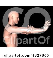 3D Male Medical Figure With Arm Bones Highlighted