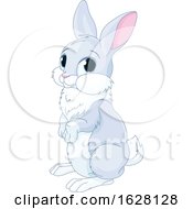Poster, Art Print Of Cute Bunny Rabbit