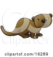 Poster, Art Print Of Brown Otter Or Weasel