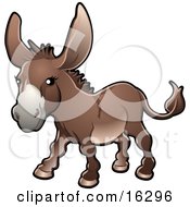 Brown Donkey Equus Asinus On A Farm
