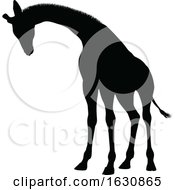 Giraffe Animal Silhouette
