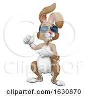 Poster, Art Print Of Easter Bunny Shades Rabbit Thumbs Up And Pointing