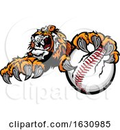 Poster, Art Print Of Vicious Tiger Mascot Grabbing A Baseball