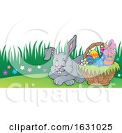 Sleeping Easter Bunny