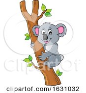Koala In A Tree by visekart