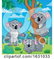 Poster, Art Print Of Koalas