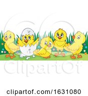 Poster, Art Print Of Yellow Chicks