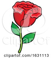 Red Rose by visekart