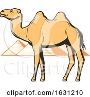 Poster, Art Print Of Camel And Egyptian Pyramids