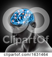 Poster, Art Print Of 3d Male Medical Figure Showing Brain With Highlights