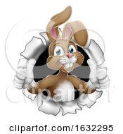 Easter Bunny Thumbs Up Rabbit Breaking Background