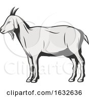 Poster, Art Print Of Retro Goat