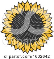 Poster, Art Print Of Sunflower Head