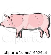Poster, Art Print Of Retro Pig