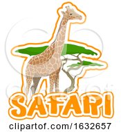 Poster, Art Print Of Safari Design