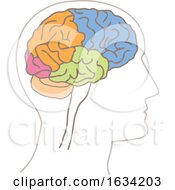 Poster, Art Print Of Brain With Colorful Lobes