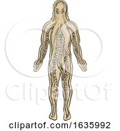 Alien Octopus Inside Human Body Drawing by patrimonio