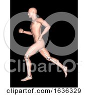 3D Running Male With Leg And Feet Bones Highlighted