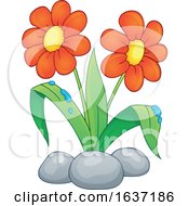 Poster, Art Print Of Spring Time Daisy Flowers