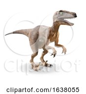 3d Velociraptor Dinosaur On A White Background