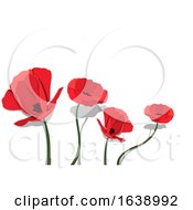 Red Poppy Flowers by dero