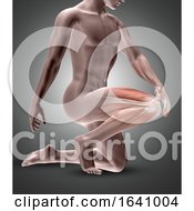 Poster, Art Print Of 3d Male Figure With Knee Muscles Highlighted