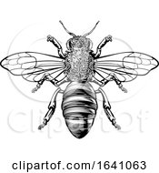 Poster, Art Print Of Honey Bumble Bee Woodcut Vintage Bumblebee Drawing