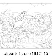 Poster, Art Print Of Black And White Grey Heron On Shore