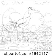 Poster, Art Print Of Black And White Red Crowned Or Manchurian Crane
